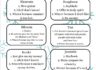 Grapevine Newsletter #6 ENG