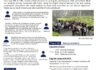Grapevine Newsletter #8 ENG
