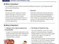 GCA Newsletter #11 ENG